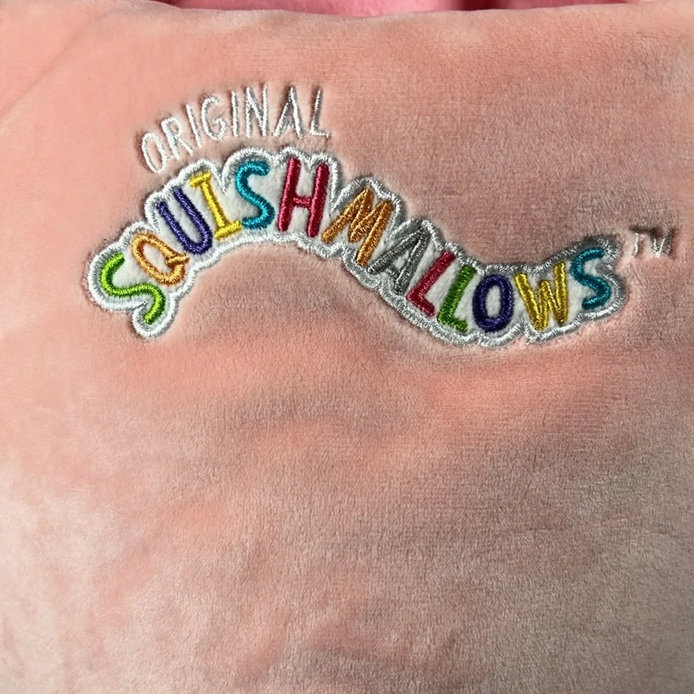 NEW Squishmallows Pail Bucket Paloma Pig Stuffed Squishmallows Childs Animal Pai